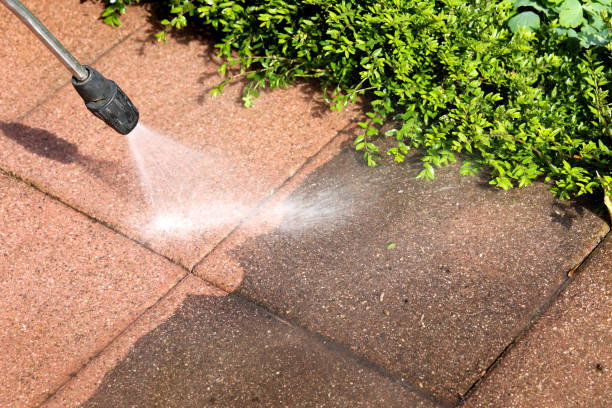 Best Fleet & Vehicle Pressure Washing in Ly Lake, IL